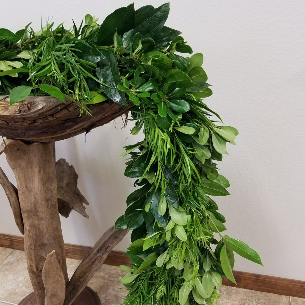 Cocculus, Pittosporum & Podocarpus Garlands - Alpha Fern