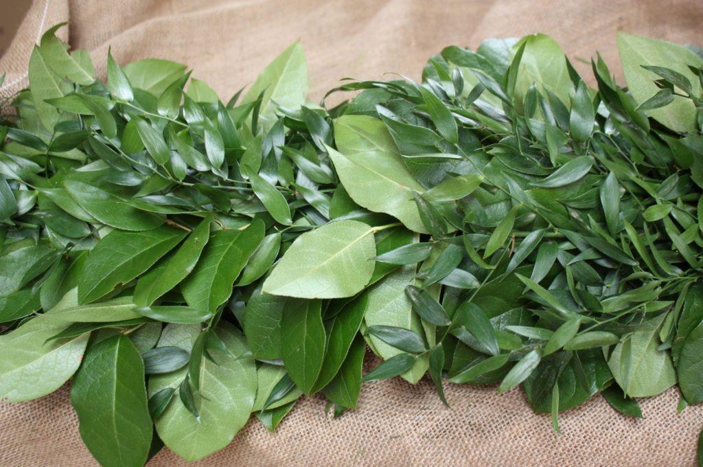 Italian Ruscus & Salal Garlands - Alpha Fern