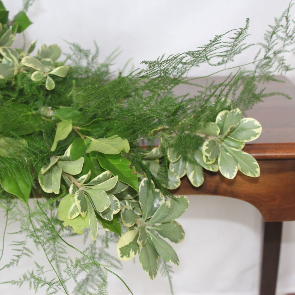 Pittosporum Plumosus And Salal Garlands Alpha Fern