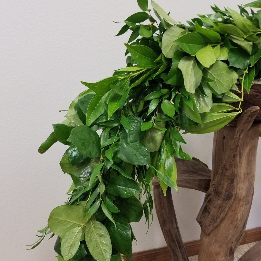 Cocculus, Italian Ruscus, & Salal - Alpha Fern