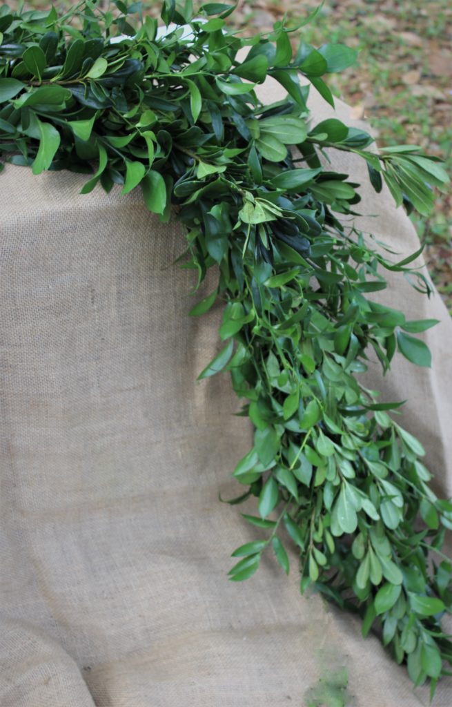 Garlands, Florida Ruscus, Italian Ruscus & Pittosporum Alpha Fern